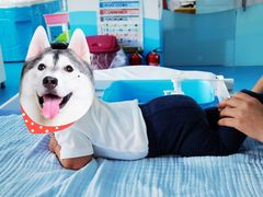 -马博士婴幼儿游泳馆(门头沟店)