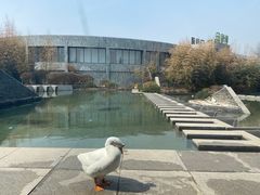 -河北霸州茗汤日月潭温泉