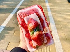 -糕小爱动物奶油生日蛋糕定制(晋江万达店)