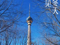 -中央广播电视塔