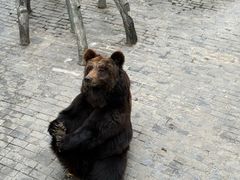 -阿露佳·舌尖上的安吉菜