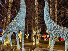 -大连森林动物园