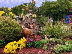 -上海共青森林公园