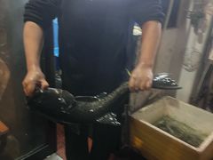 -丰乐餐厅·始于1999·本地老字号