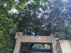 -香港大学