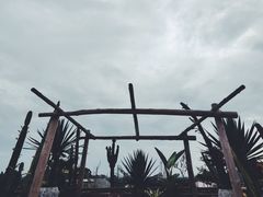 -悦哉·派对·草坪婚礼·围炉煮茶(三圣乡店)