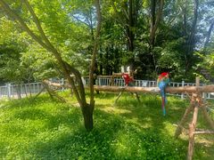 -哈尔滨北方森林动物园