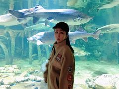 -华夏文旅海洋公园