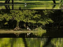 -上海共青森林公园