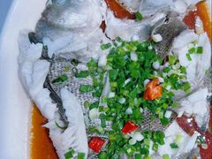 野生海掉鲈鱼-江南村海鲜馆(洞头店)