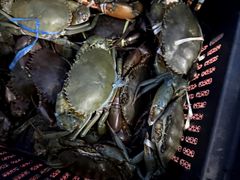 -钱塘府海鲜餐厅