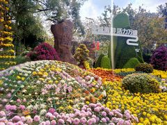 -南山植物园