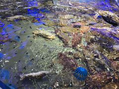 -澜悦港海鲜体验主题餐厅