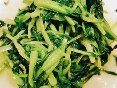 清炒鸡毛菜-老吉士酒家(天平路店)