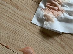 -伟伟宠物医院·瑞派猫友好医院·猫科(光谷店)