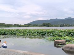 -长田漾湿地公园