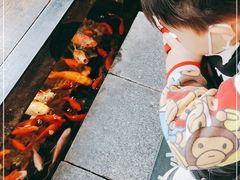 -颐和•海鲜砂锅粥•啫啫煲(奥林匹克广场店)