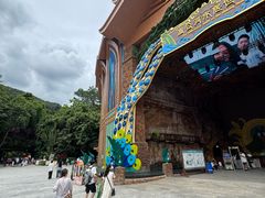 -西双版纳原始森林公园