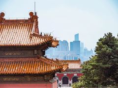 -北陵公园