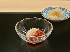 -焘