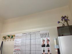 -瑞晨曦催乳产后健康(枣园店)