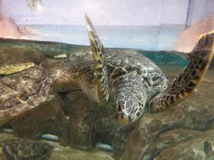 -福州罗源湾海洋世界旅游区