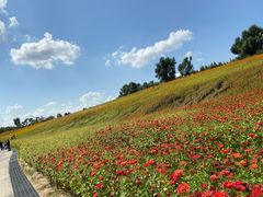 -长春世界雕塑园冰雪艺术天地