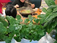 -巴乡石锅鱼(密云店)