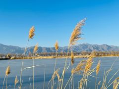 -野鸭湖国家湿地公园