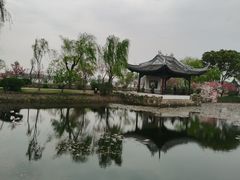 -无锡蠡湖国家湿地公园-蠡园