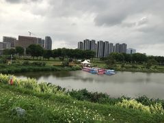-光明小镇欢乐田园