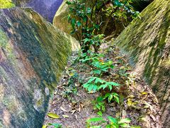 -火炉山森林公园