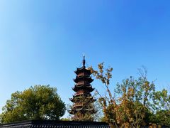 -龙华素斋(龙华路店)