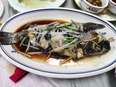 油泼黑头鱼-天伦海鲜·老味道·青岛菜(栈桥天主教堂店)