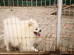 -清风小镇闯关东影视基地