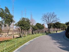 -大宁公园