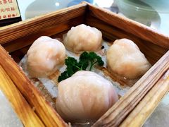 榄公虾饺王-小榄公饭店(西区彩虹店)