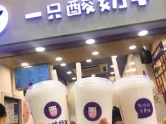 -一只酸奶牛(八一路店)