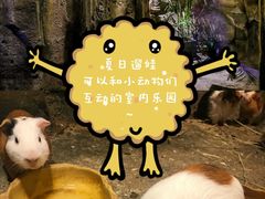 -zoonana室内动物园(东方福来德店)
