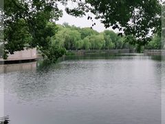 -月湖公园