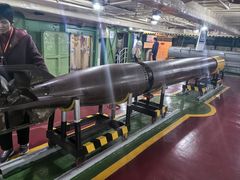 -泰达航母主题公园