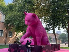 -西安电影制片厂