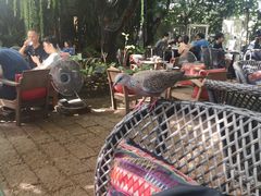 -Fern Forest Cafe