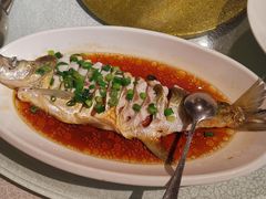 -金美华轩(东方路齐鲁店)