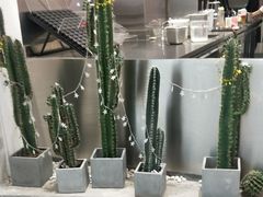 -果呀呀(吾悦广场店)