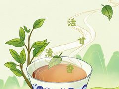 -大口九(东方广场店)