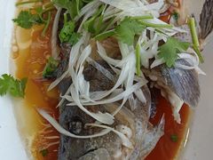-日照大牌檔•小船海鲜(万平口店)