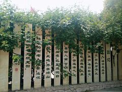 -石老人观光园
