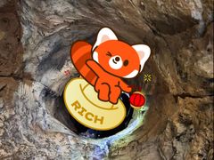 -重庆际华园室内极限运动中心