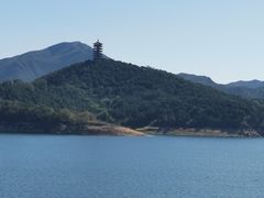 -望湖烤鱼
